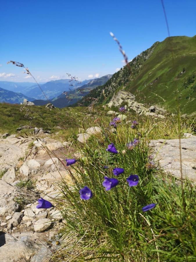 Ferienwohnungen Fichtenheim Mayrhofen Eksteriør bilde